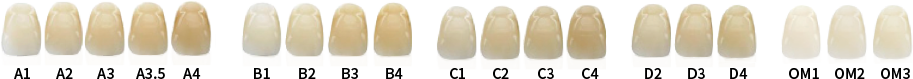 AA.png