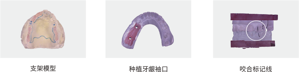 A-IS Pro 3.png